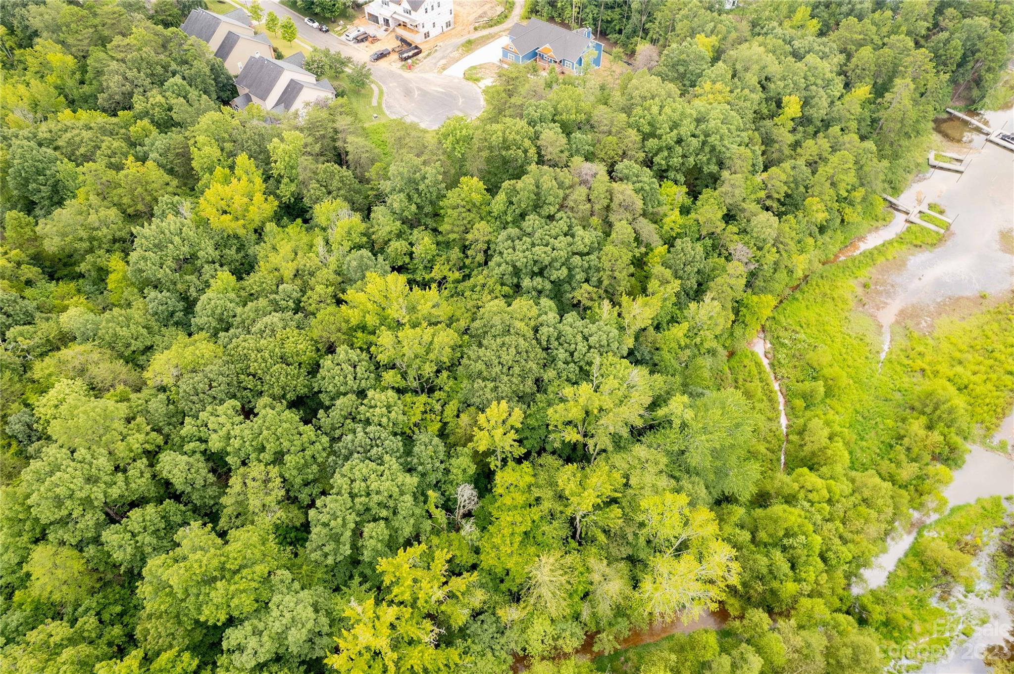 680 Reliance Court Tega Cay, SC 29708 - Photo 6 of 20 a view of a big yard of the house