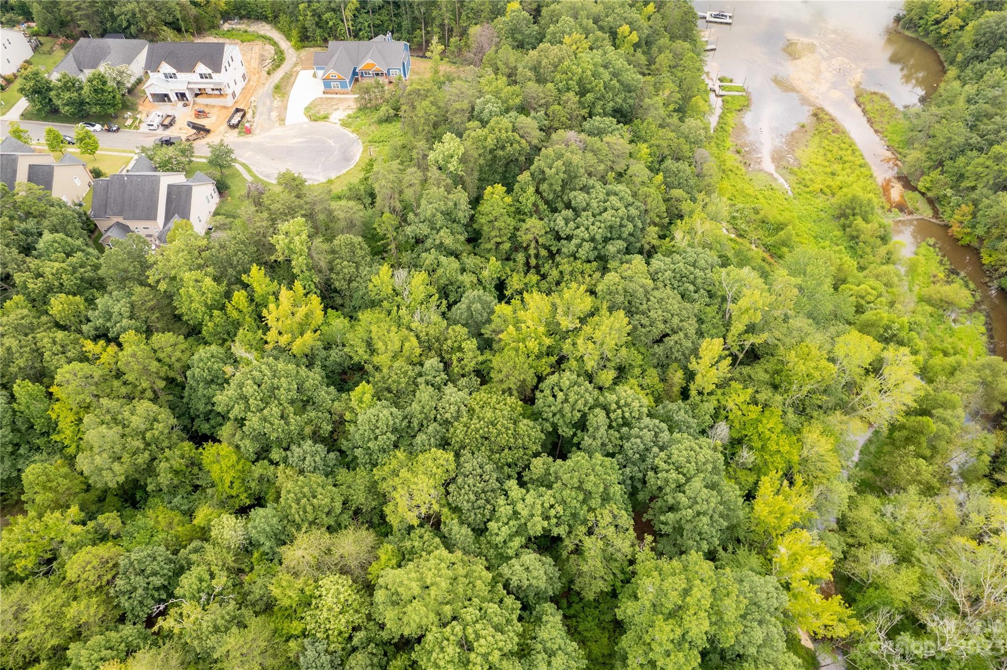 680 Reliance Court Tega Cay, SC 29708 - Photo 7 of 20 a view of a big yard with plants and large trees