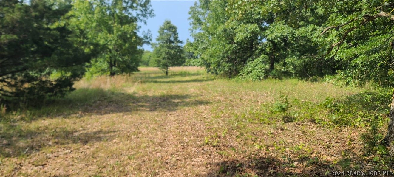 Tbd Beacon Road Eldon, MO 65026 - Photo 1 of 1