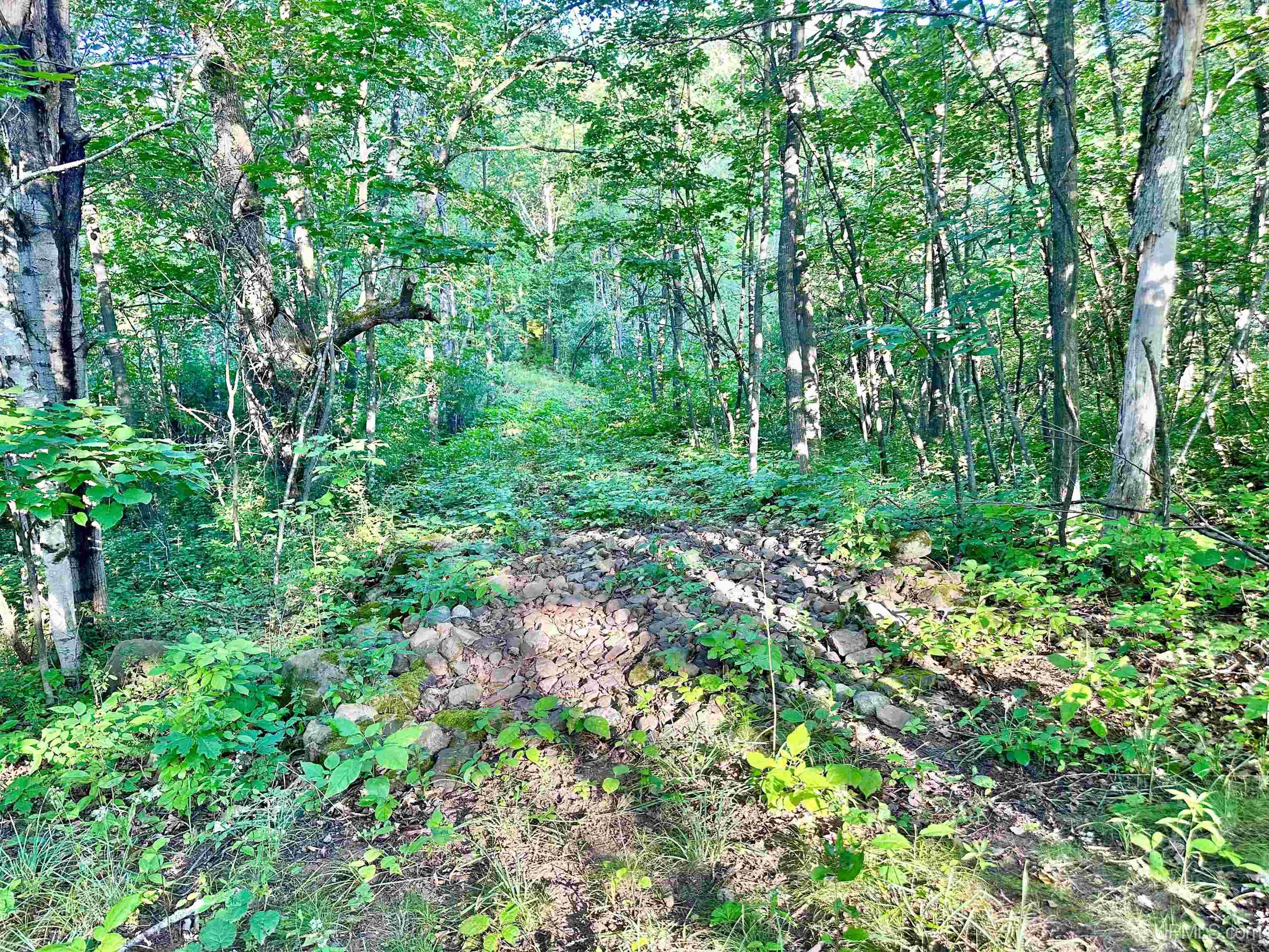 Tbd Crestview Road Ironwood, MI 49938 - Photo 39 of 49