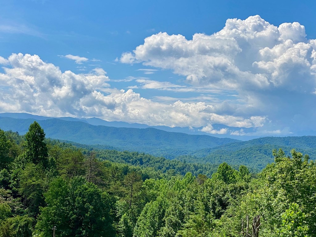 895 Obes Branch Road Sevierville, TN 37876 - Photo 31 of 46