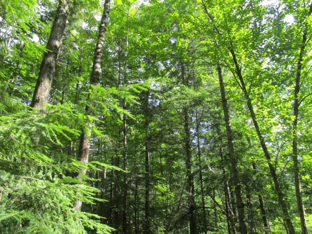 M2-l29 Smith Road Corinna, ME 04928 - Photo 3 of 13 Photo