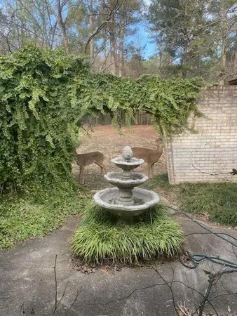 a view of a garden with a fountain