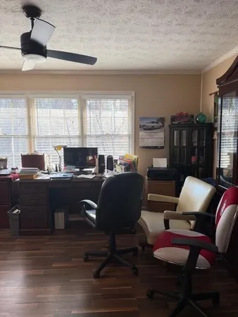 a living room with furniture or couch and a window