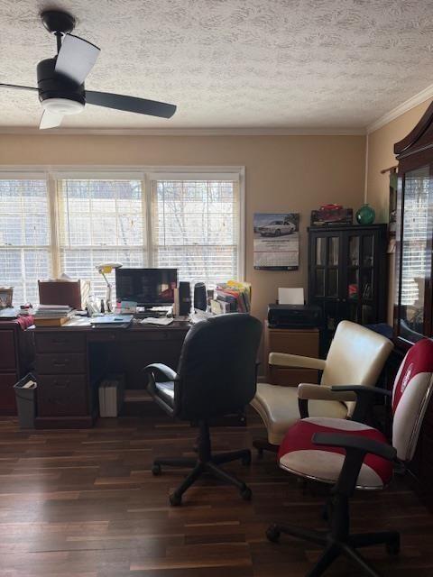 324 Piper Road Covington, GA 30014 - Photo 10 of 19 a living room with furniture or couch and a window
