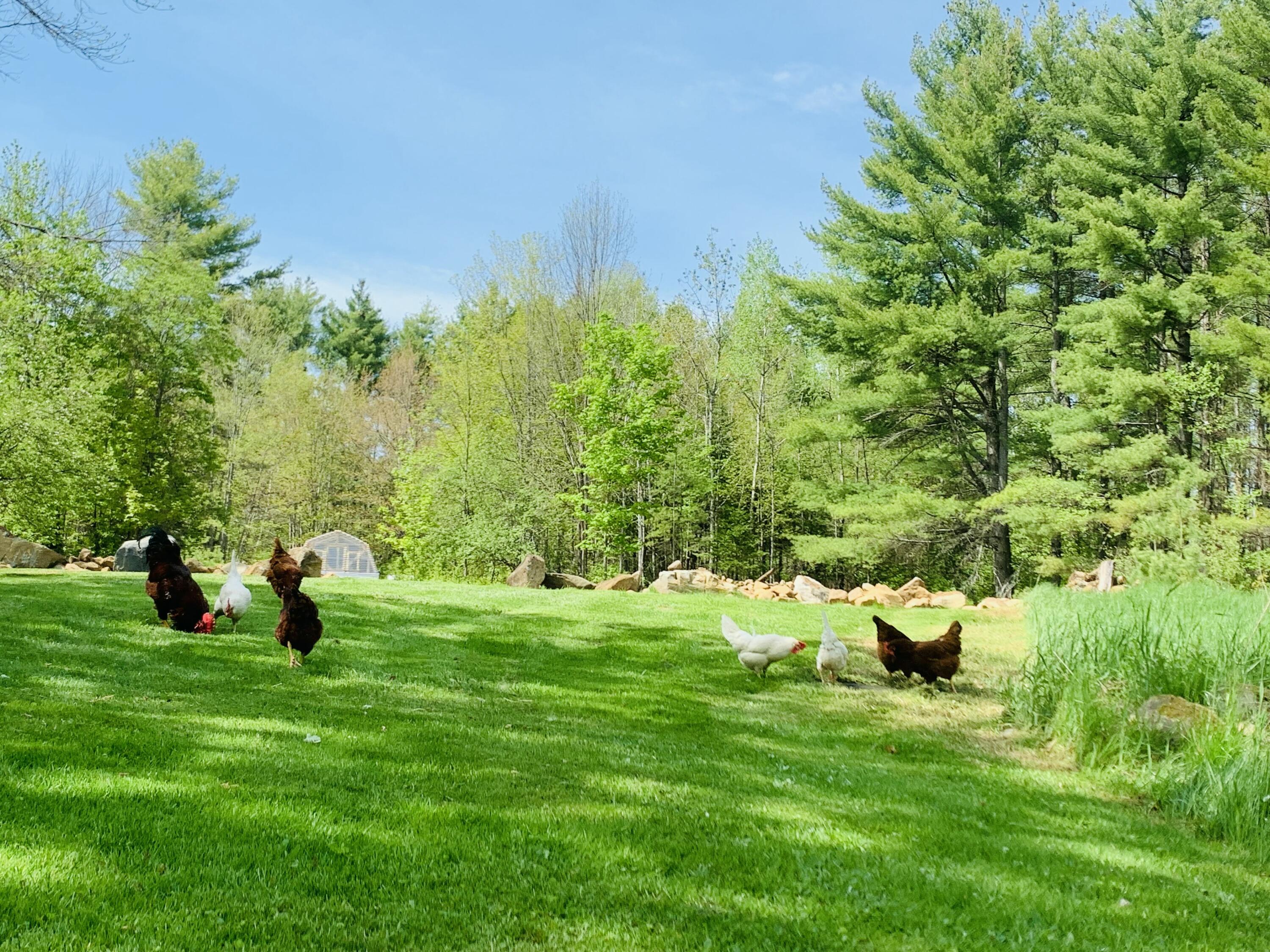 286 Lexington Road Kingfield, ME 04947 - Photo 25 of 58