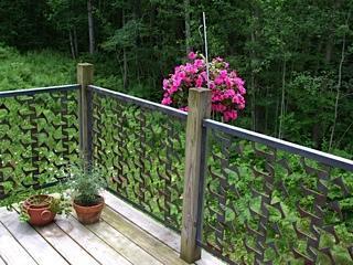 210 Hosmer Pond Road Camden, ME 04843 - Photo 2 of 14 Other.