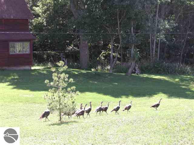 8570 Worden Road Beulah, MI 49617 - Photo 7 of 9 1671648-6.JPG