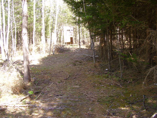 1291 Abbe Road Comins, MI 48619 - Photo 10 of 37 Gallery Image 10