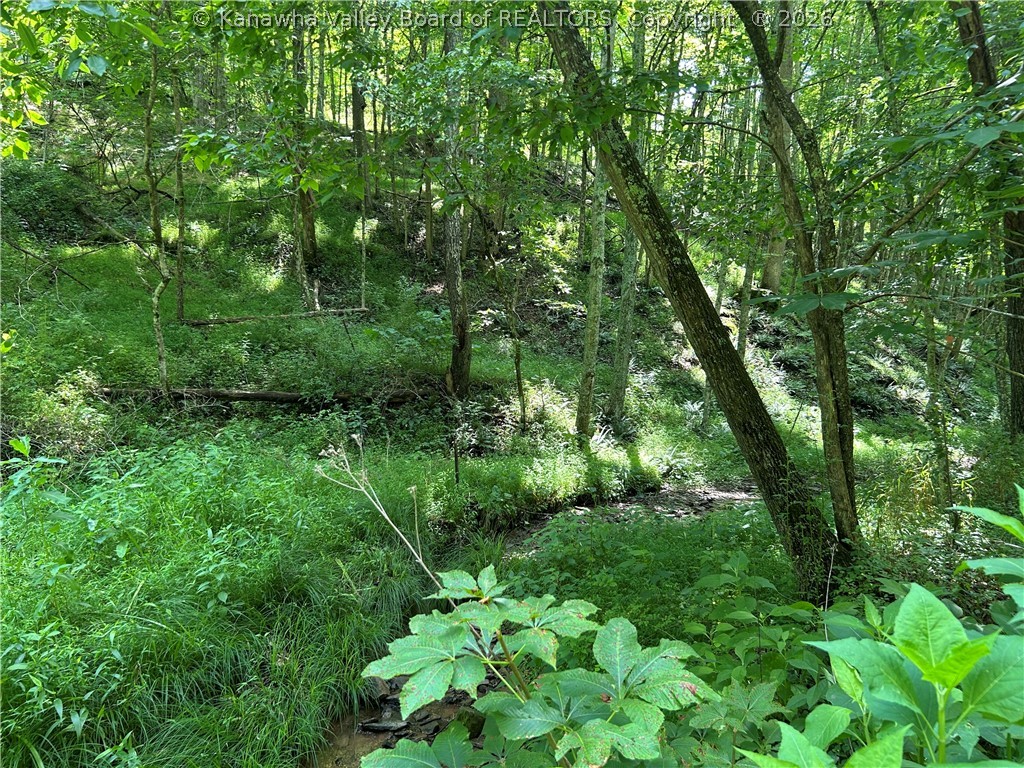 1640 Charleston Road Spencer, WV 25276 - Photo 3 of 13 Gallery Image 3