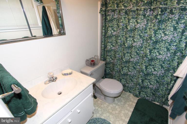 5421 Moultrie Road Springfield, VA 22151 - Photo 26 of 30 Master Bath