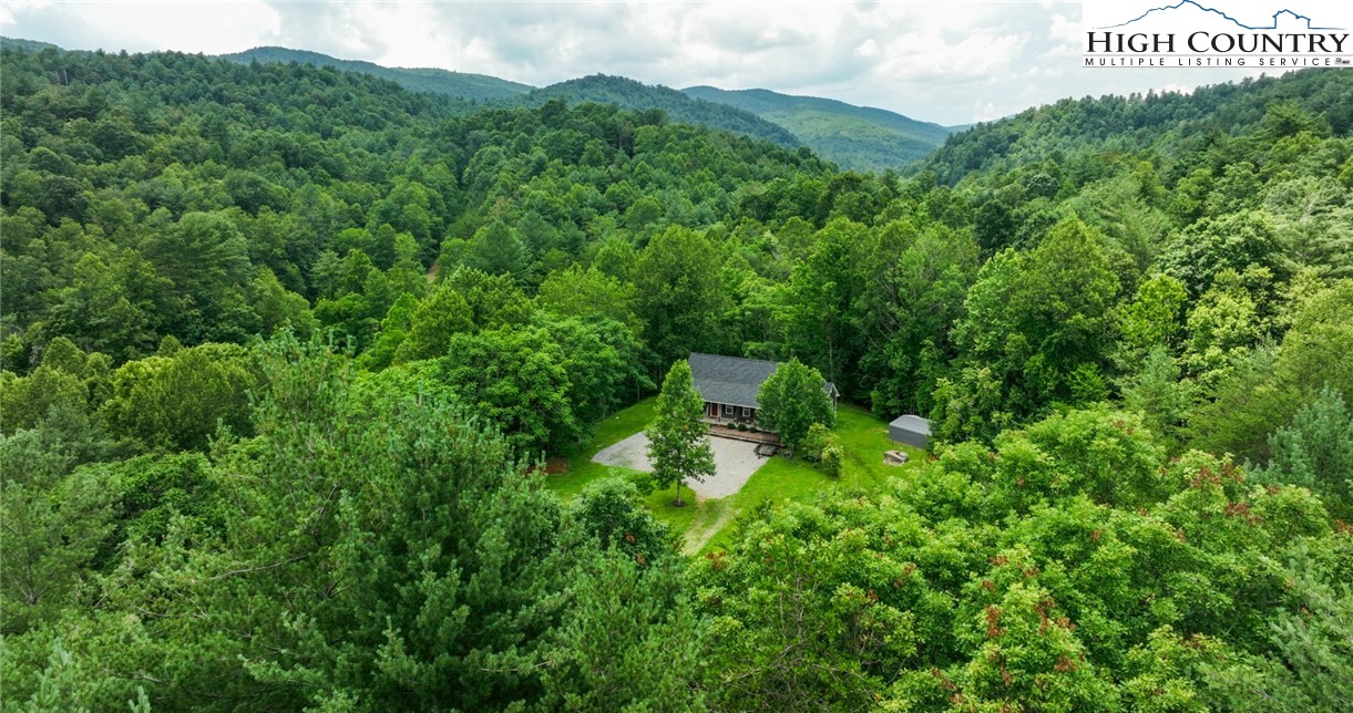 351 Colony Lane Purlear, NC 28665 - Photo 15 of 39 a view of a house with a lush green forest