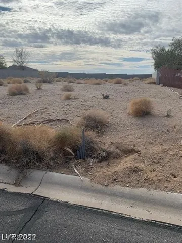 $44,900 | 135 Fig Leaf Place, Palm Gardens, NV 89039