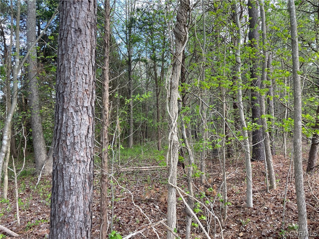 2.79-ac Courthouse Road Lunenburg, VA 23952 - Photo 10 of 17 a view of forest