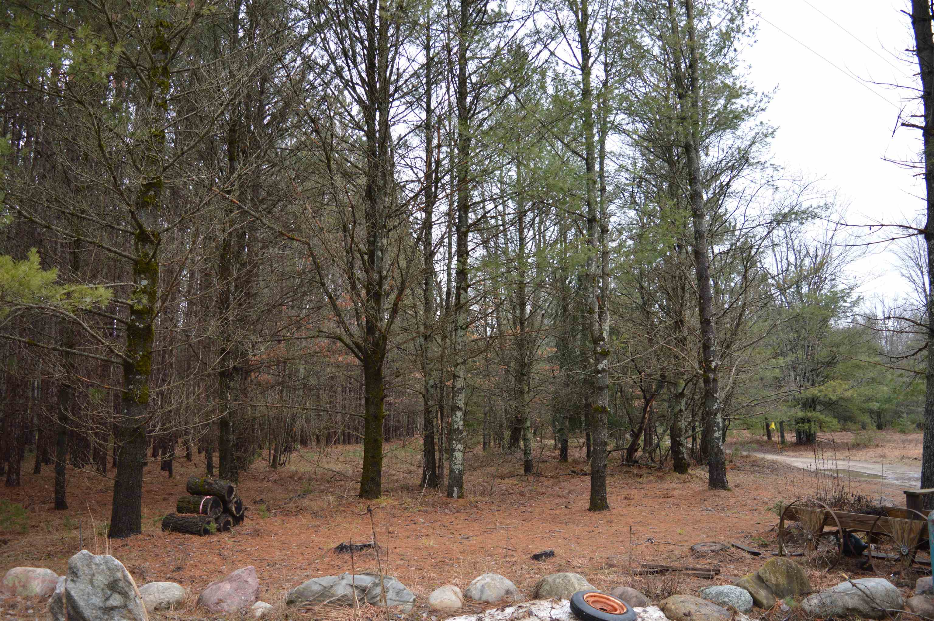 8766 Zubal Road Fife Lake, MI 49633 - Photo 14 of 30