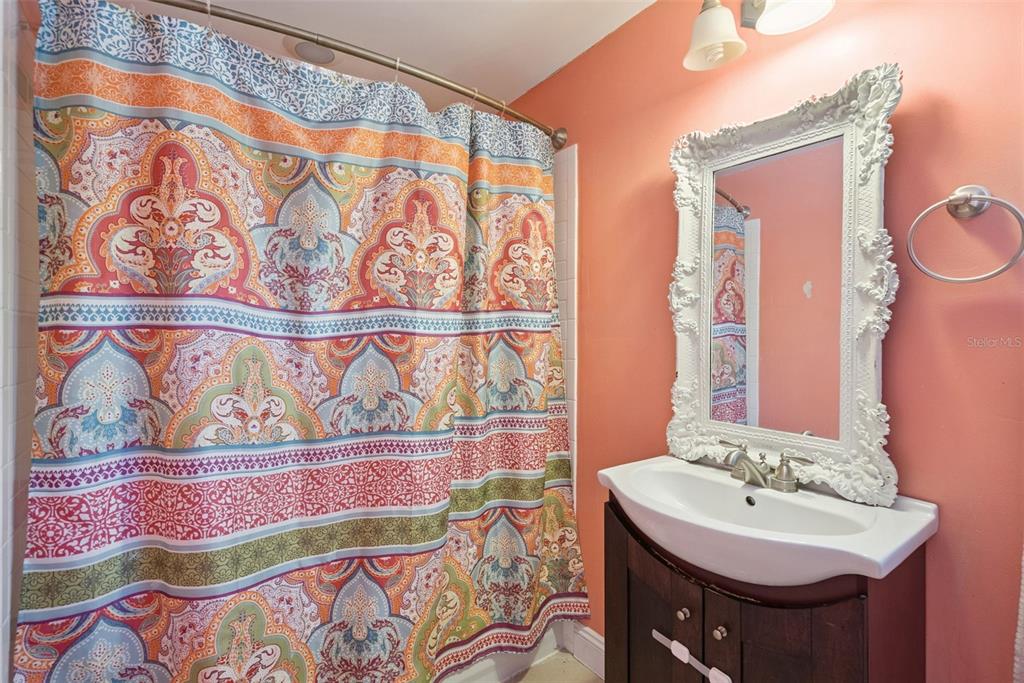1048 North Grandview Street Mount Dora, FL 32757 - Photo 28 of 56 a bathroom with a sink and a mirror