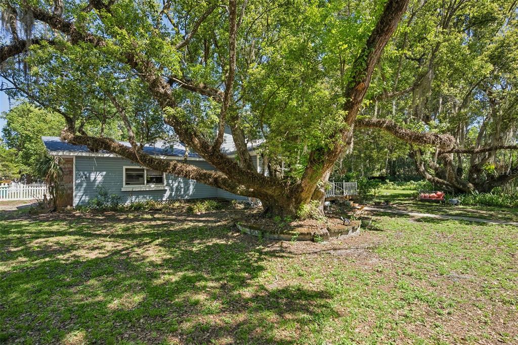 1048 North Grandview Street Mount Dora, FL 32757 - Photo 37 of 56 a view of a house with a yard