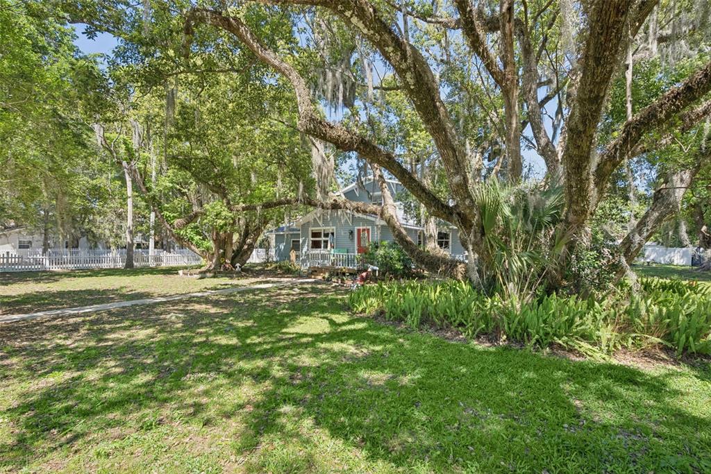 1048 North Grandview Street Mount Dora, FL 32757 - Photo 38 of 56 a view of a big yard with large trees