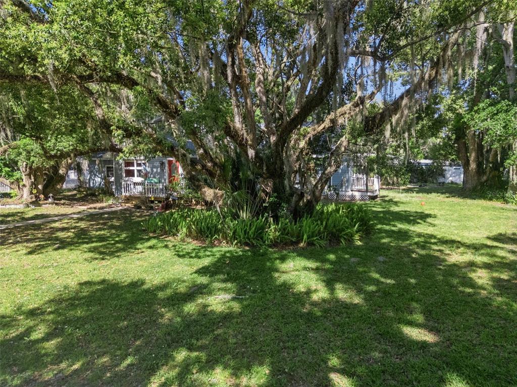 1048 North Grandview Street Mount Dora, FL 32757 - Photo 39 of 56 a backyard of a house with lots of green space and fountain