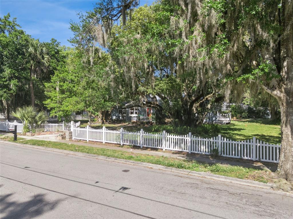 1048 North Grandview Street Mount Dora, FL 32757 - Photo 41 of 56 a view of a deck with a large trees