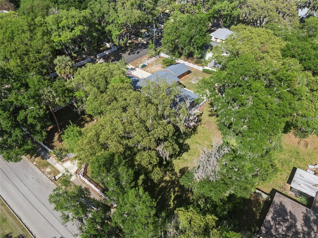 1048 North Grandview Street Mount Dora, FL 32757 - Photo 44 of 56 an aerial view of residential house with outdoor space and trees all around
