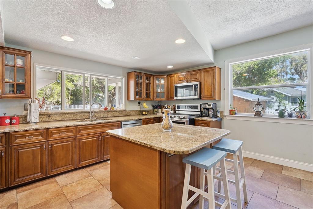 1048 North Grandview Street Mount Dora, FL 32757 - Photo 9 of 56