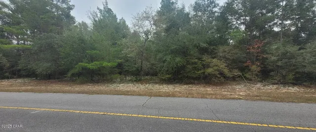 $44,900 | 1.28-acres Vistula Drive, Chipley, FL 32428