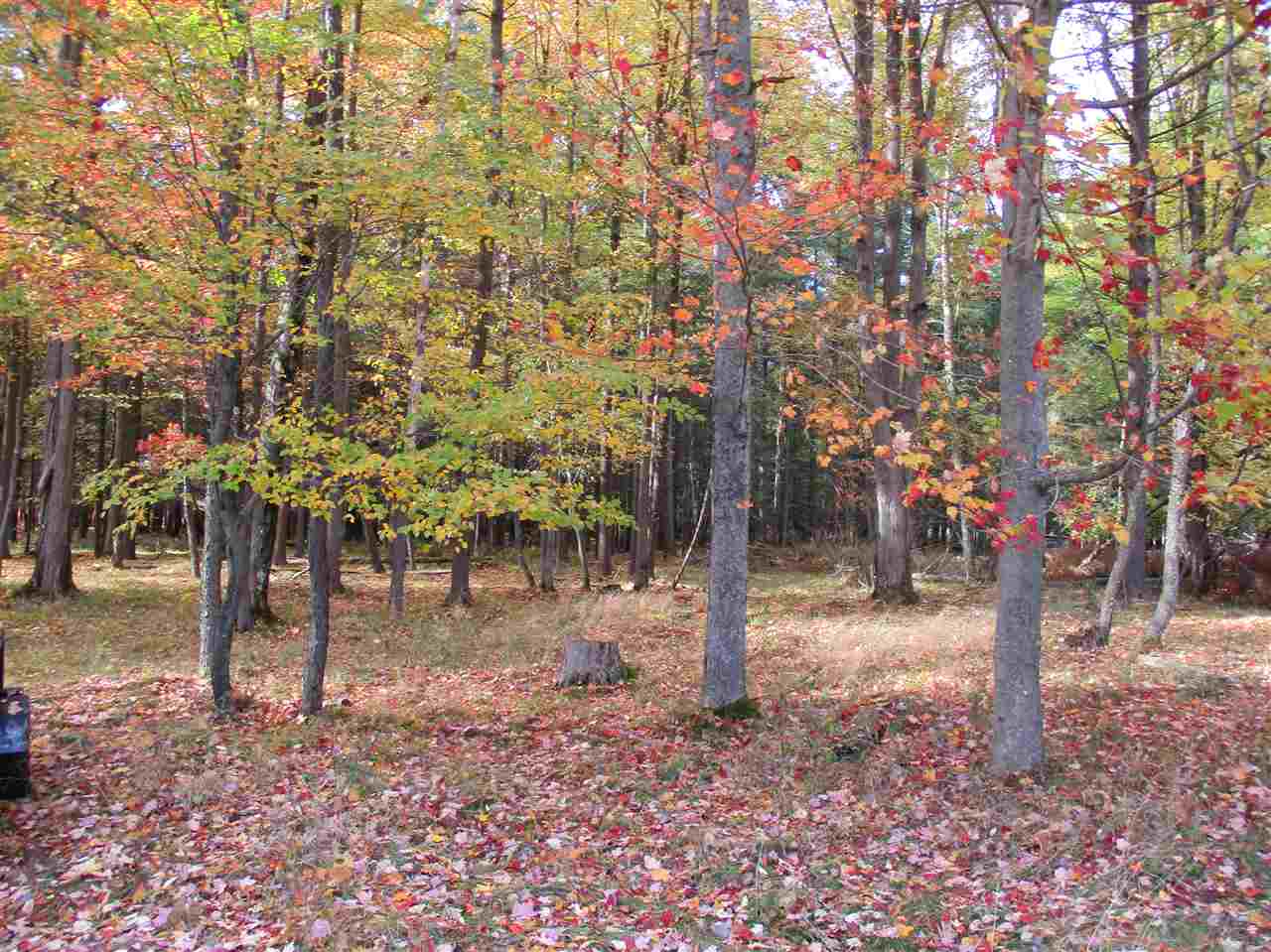 1546 Keystone Road Tawas City, MI 48763 - Photo 35 of 43 1881448-34.JPG