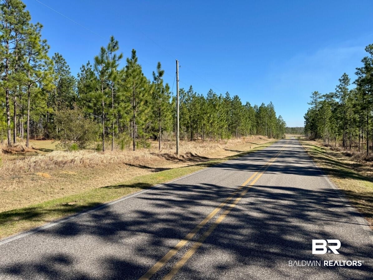 White Road Bay Minette, AL 36507 - Photo 21 of 32 View of road