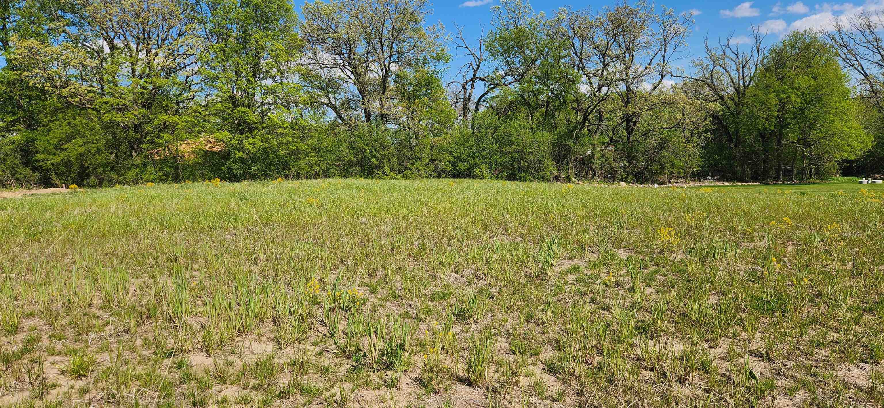 Lot 33 Wooded Ridge Cottage Grove, WI 53527 - Photo 3 of 30