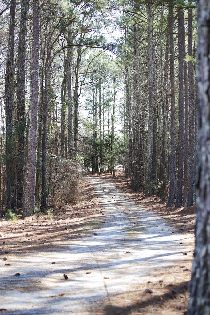 316 Keels Road West Hodges, SC 29653 - Photo 63 of 67