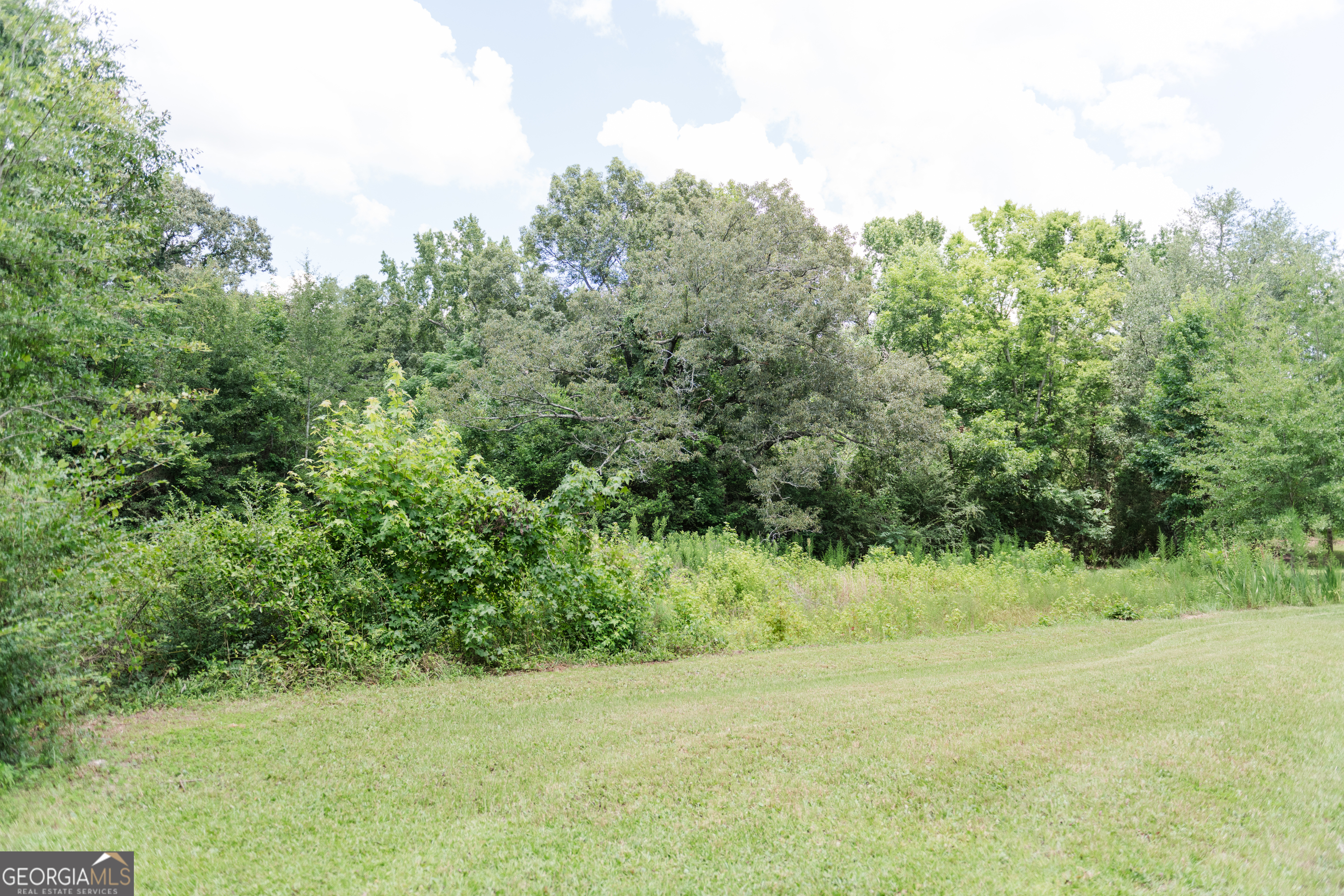 348 Americus Highway Butler, GA 31006 - Photo 49 of 59 a view of a green field