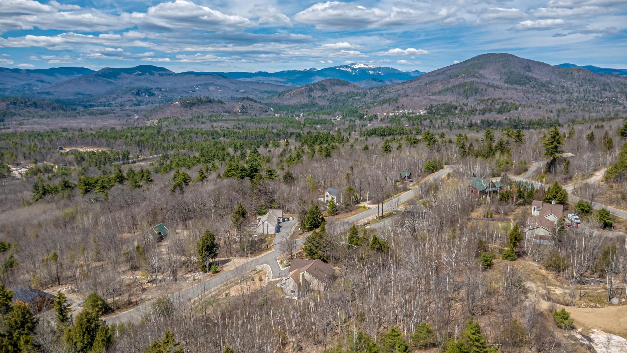 91 Wildview Drive Intervale, NH 03845 - Photo 45 of 45