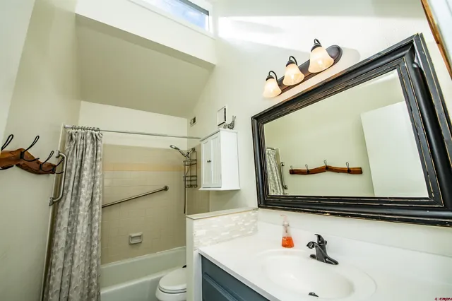 a bathroom with a sink mirror toilet and vanity