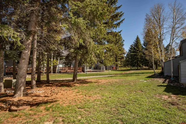 a view of park with trees