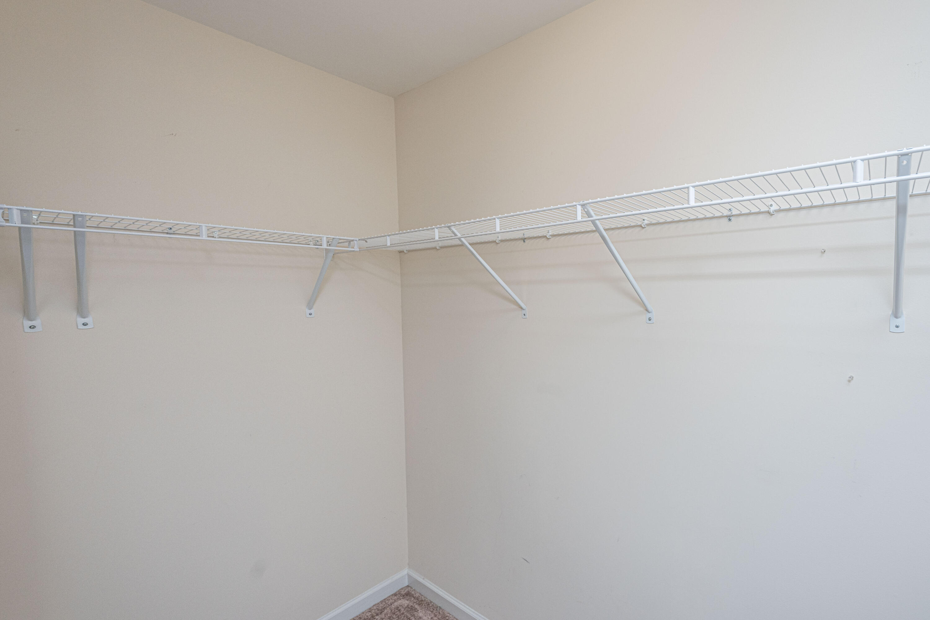 1076 Lexi Court Ladson, SC 29456 - Photo 16 of 27 Master Walk-in Closet