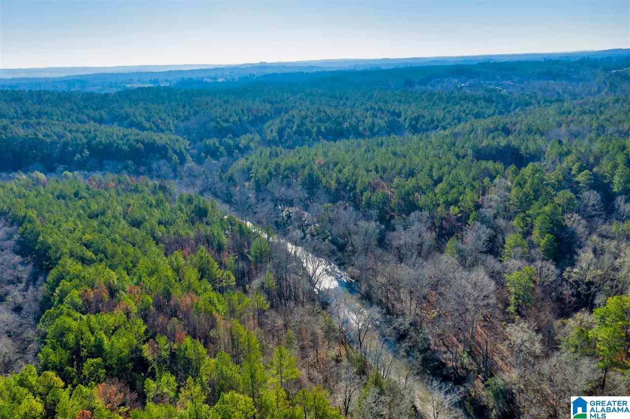 0 County Road 8, Unit 1 Clanton, AL 35045 - Photo 16 of 30