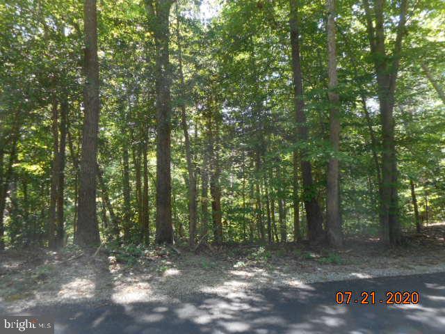 12447 Ridge Road Lusby, MD 20657 - Photo 2 of 5 a view of a forest with trees in the background