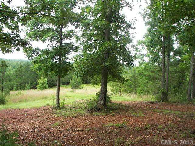 2025 Martin Road Hickory Grove, SC 29717 - Photo 16 of 16