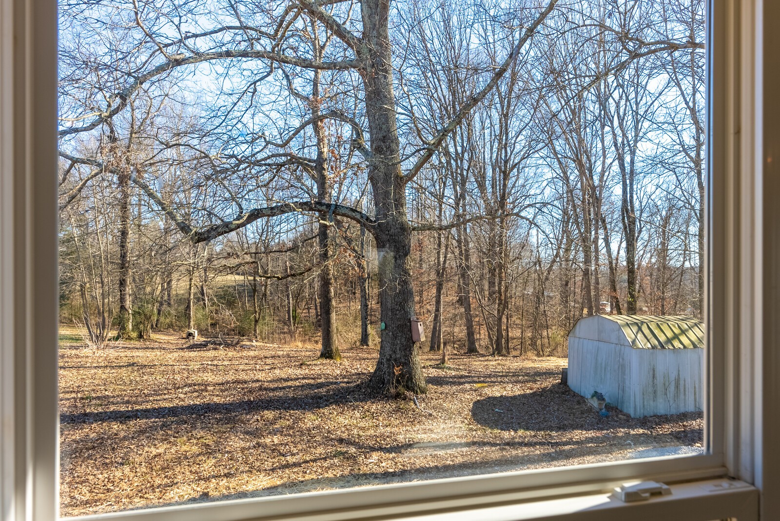 3071 Old New Cut Road Springfield, TN 37172 - Photo 5 of 18 Gallery Image 5