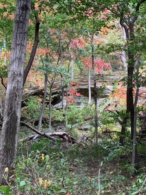 14218 Little Cola Road Rockbridge, OH 43149 - Photo 15 of 31 Fall_Rock_Outcropping