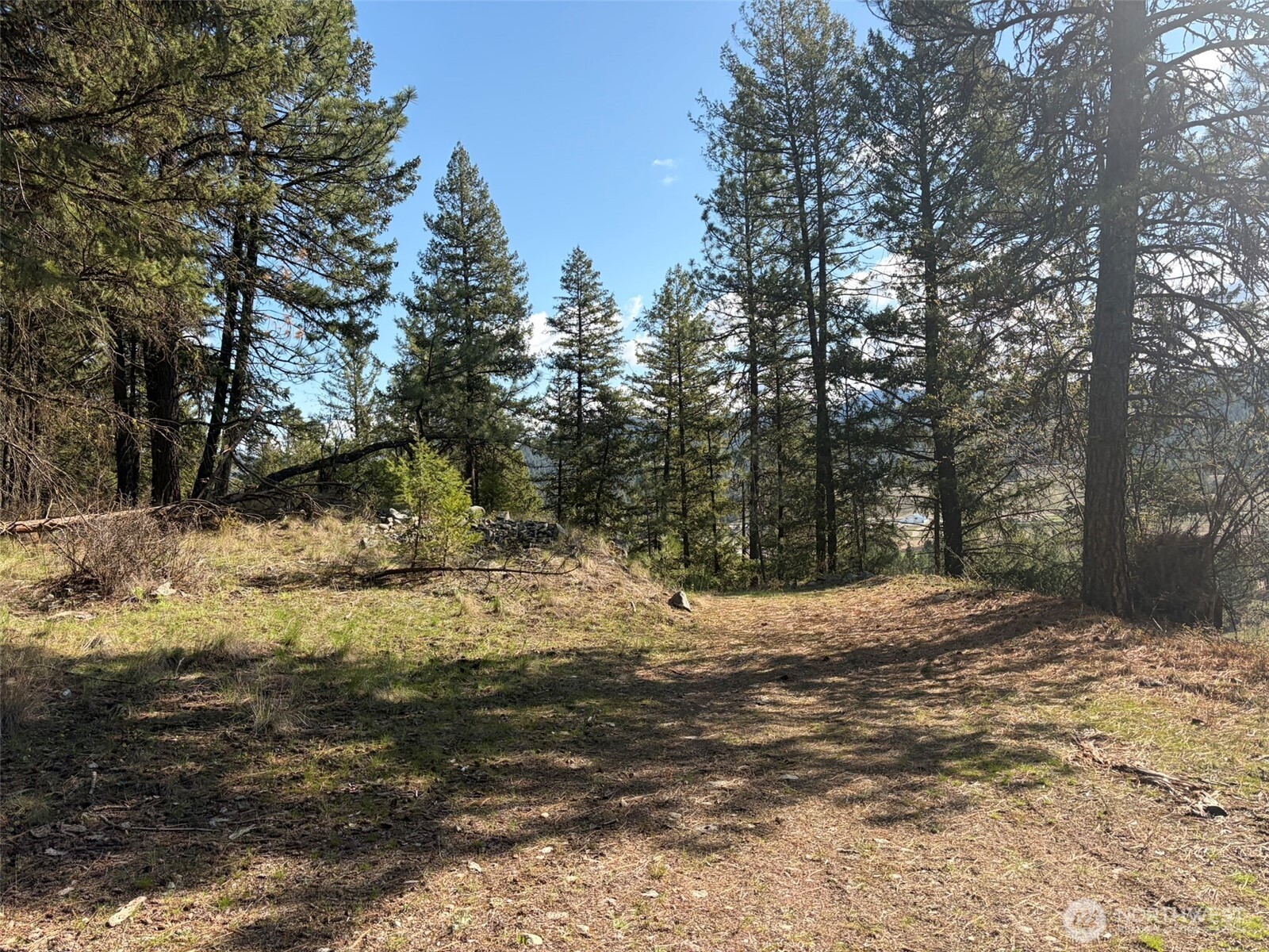 111-tbd West Curlew Lake Road Republic, WA 99166 - Photo 2 of 17