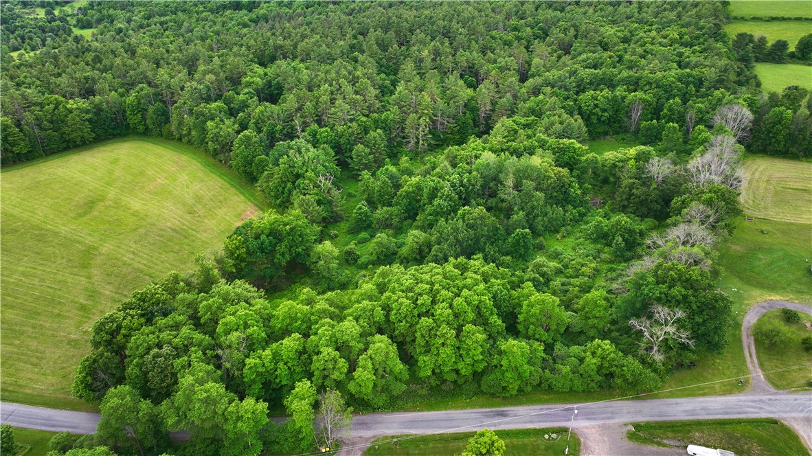 Case Road Bainbridge, NY 13733 - Photo 12 of 13