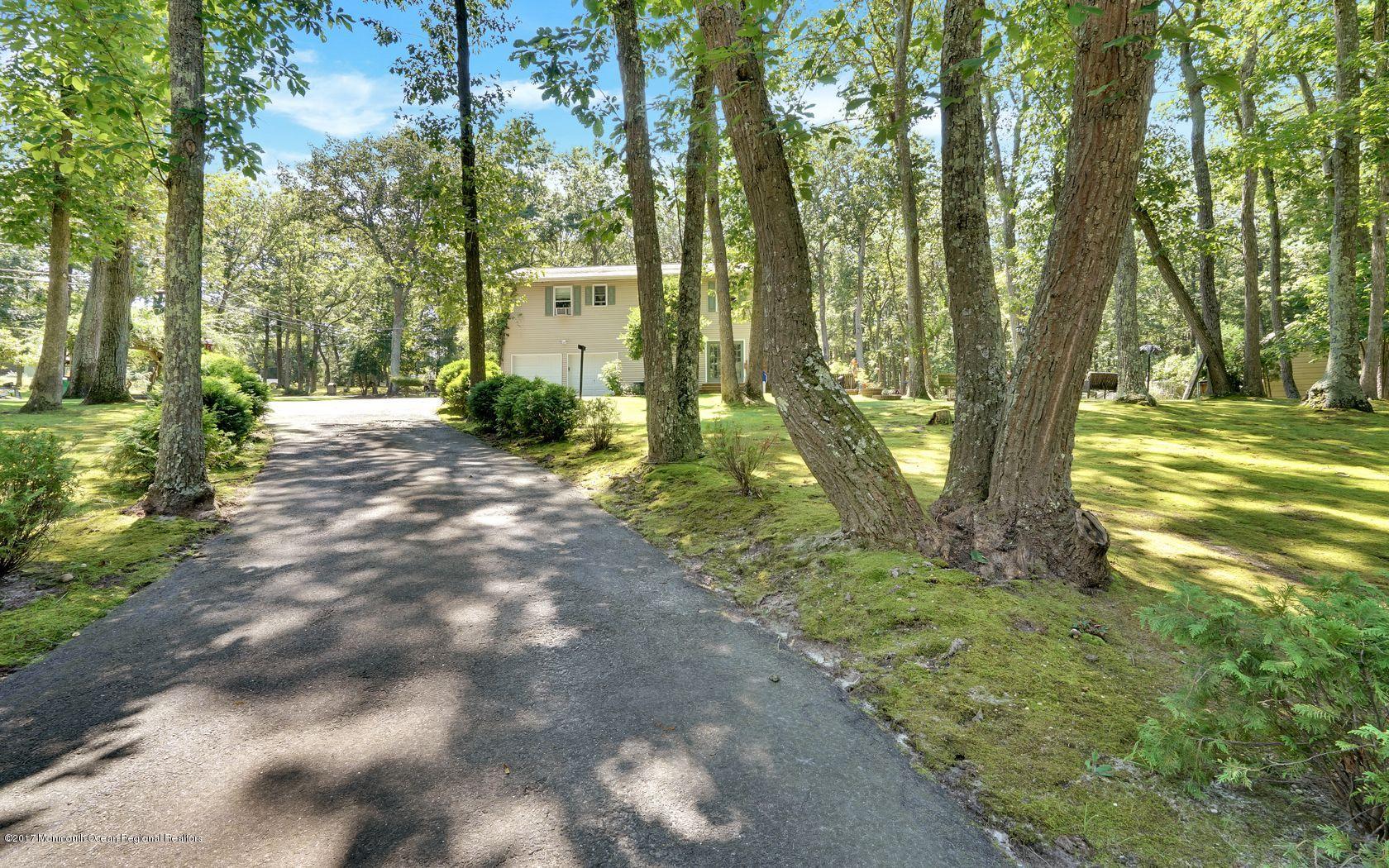 340 Jackson Pines Road Jackson, NJ 08527 - Photo 33 of 41 a view of a yard with plants and trees