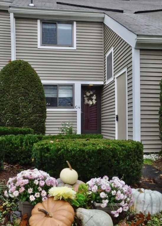 a bunch of flowers in front of a house
