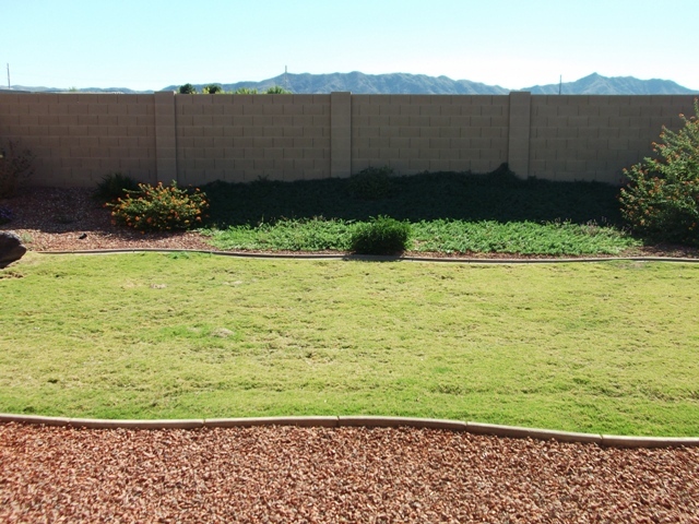 2321 West Carter Road Phoenix, AZ 85041 - Photo 4 of 9 Back 2
