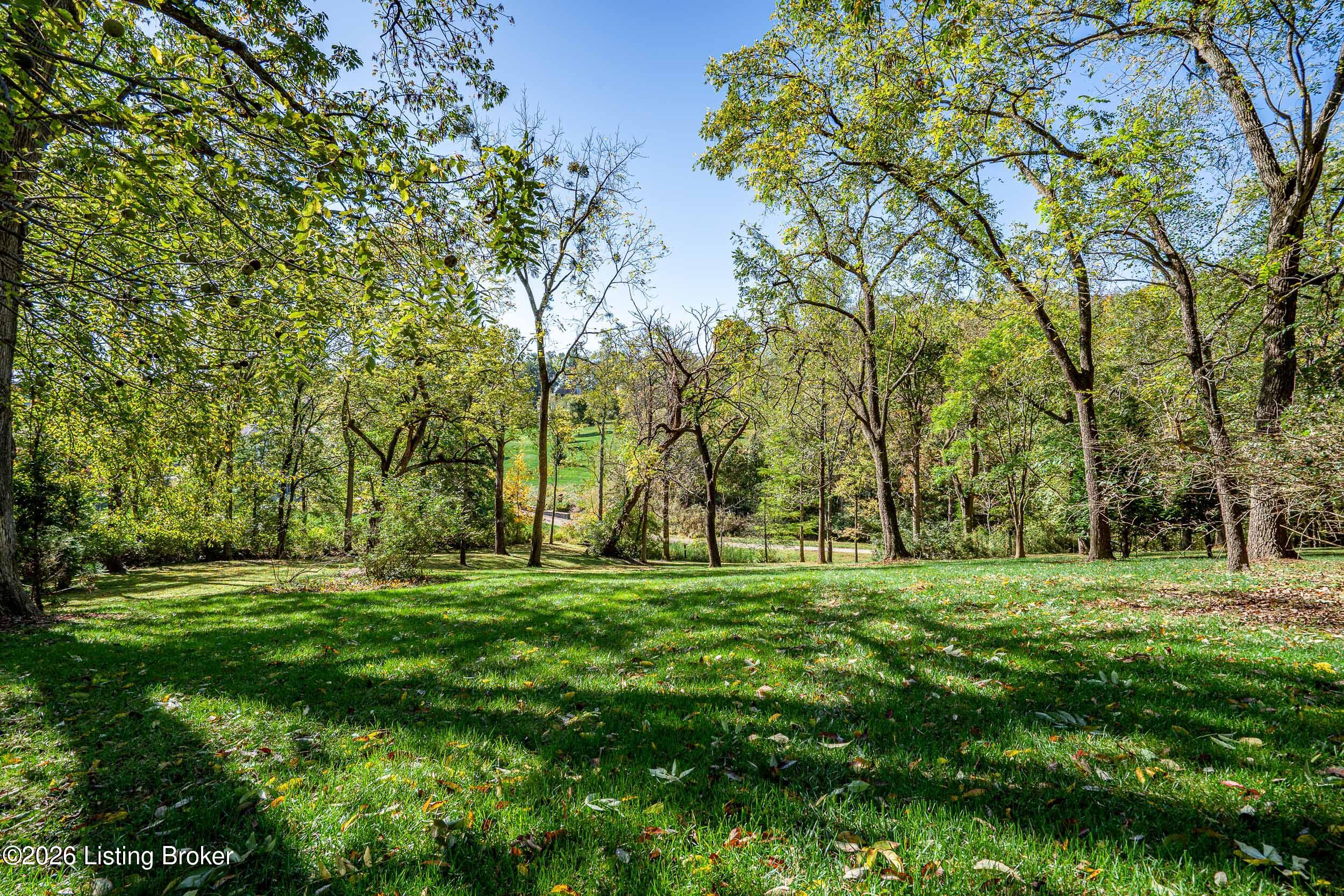 10 Arden Road Glenview, KY 40025 - Photo 23 of 77 10 Arden Rd-37