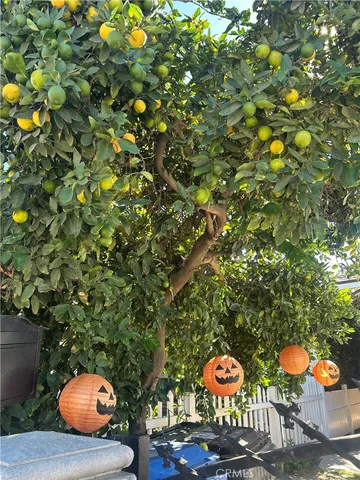 a backyard of a house