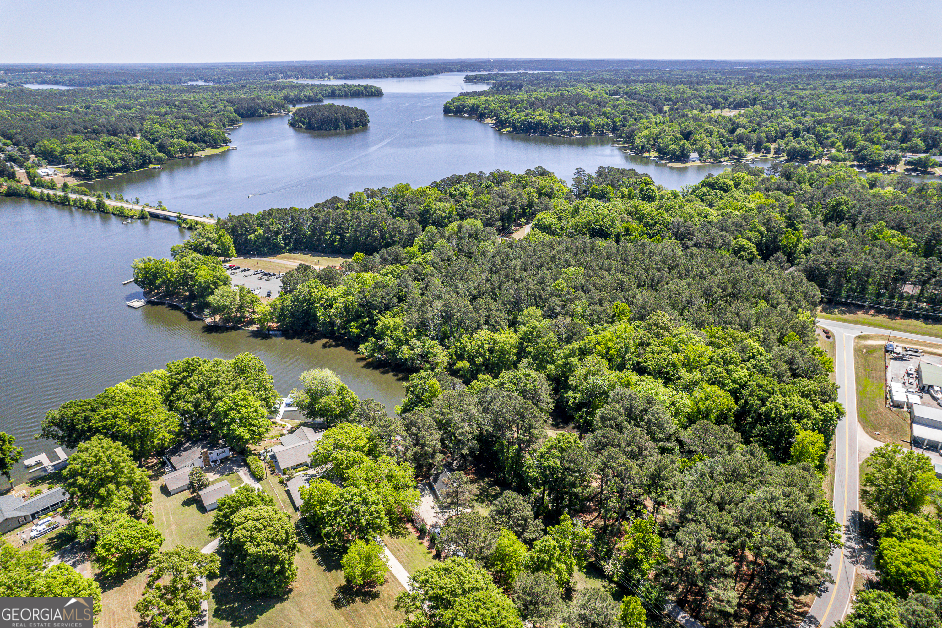 118 Hickory Point Buckhead, GA 30625 - Photo 66 of 69 an aerial view of a house with a yard and lake view