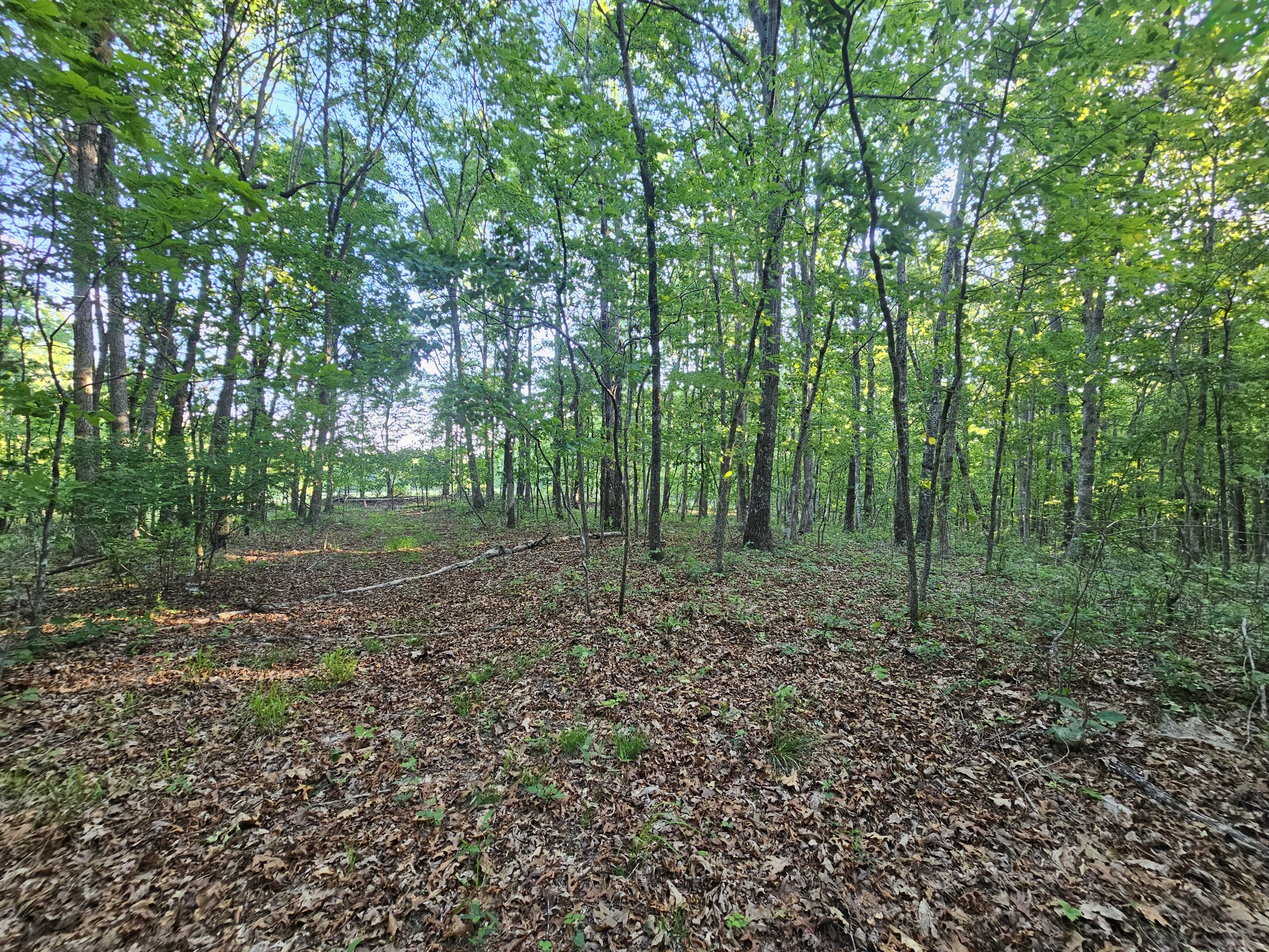 10 Griswold Road Altamont, TN 37301 - Photo 27 of 35 a view of outdoor space and green space